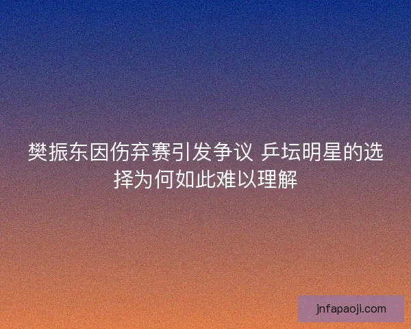 樊振东因伤弃赛引发争议 乒坛明星的选择为何如此难以理解
